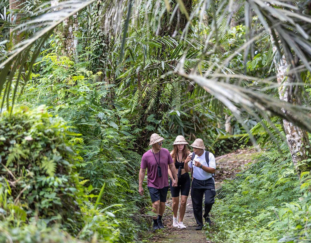 explore-trekking